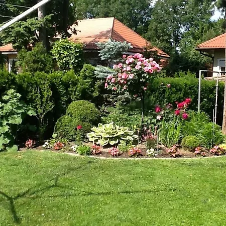 Apartament Pod Rozami *